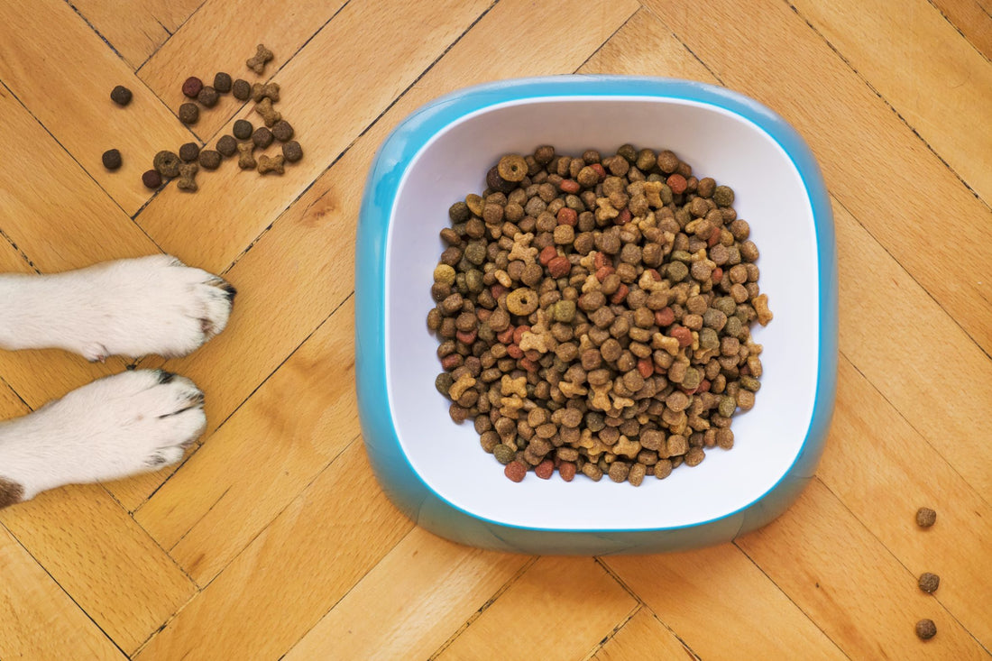 How to Properly Store Pet Food