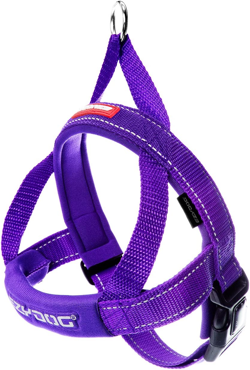 EZYDog Quick Fit Harness Purple - BlackPaw - For Every Adventure