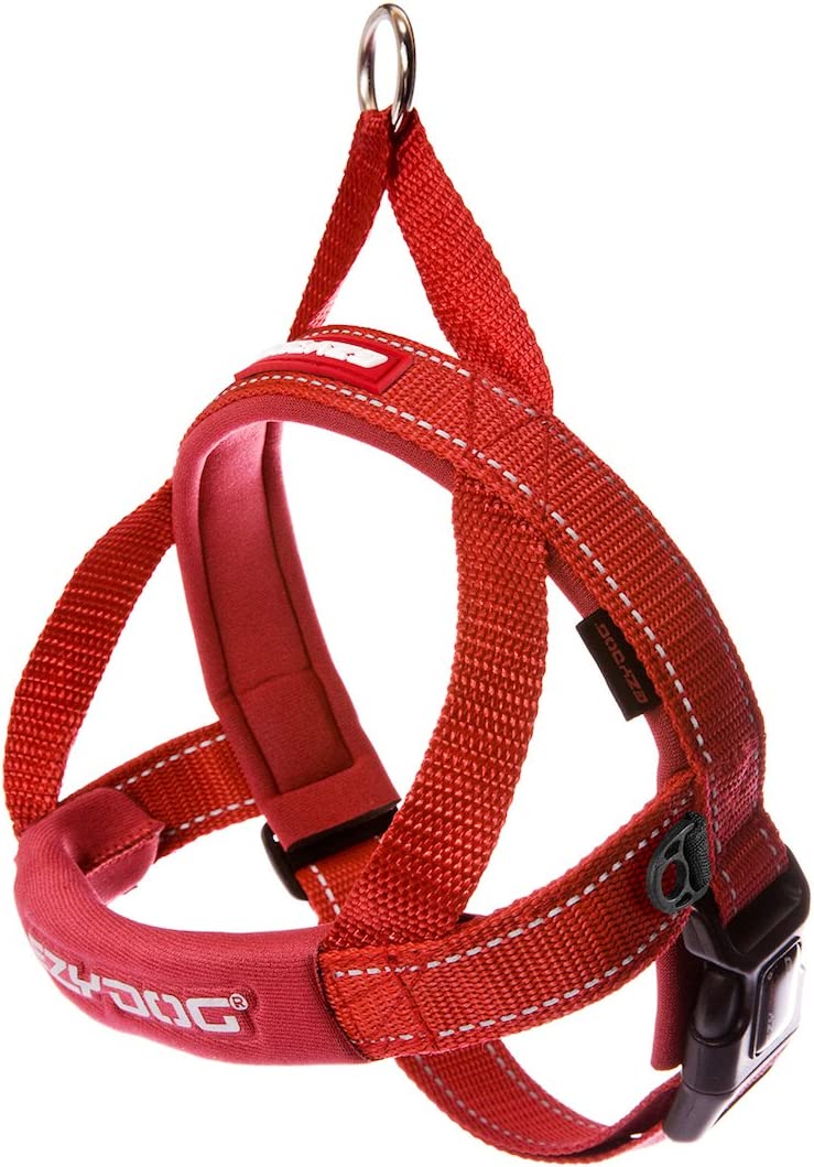 EZYDOG Quick Fit Harness Red - BlackPaw - For Every Adventure
