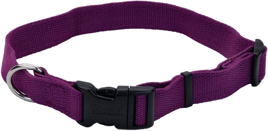 New Earth Purple Collar - BlackPaw - For Every Adventure