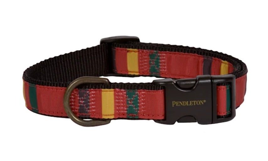 Pendleton Hiker Collar XL Rainier - BlackPaw - For Every Adventure