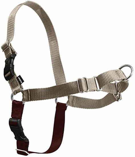 PetSafe Easy Walk Harness Fawn - BlackPaw - For Every Adventure