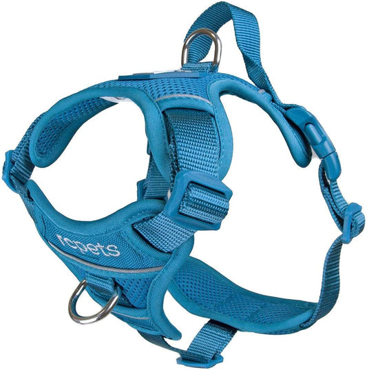 RC Pets Momentum Harness Dark Teal - BlackPaw - For Every Adventure