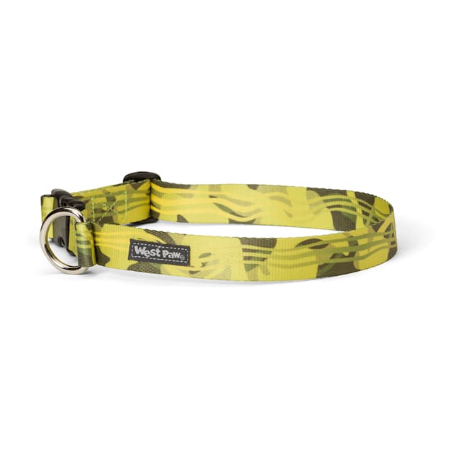 West Paw Collar Light Green M - BlackPaw - For Every Adventure