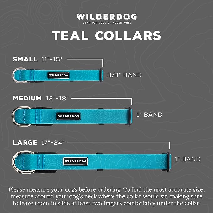 Wilderdog Waterproof Collar Teal - BlackPaw